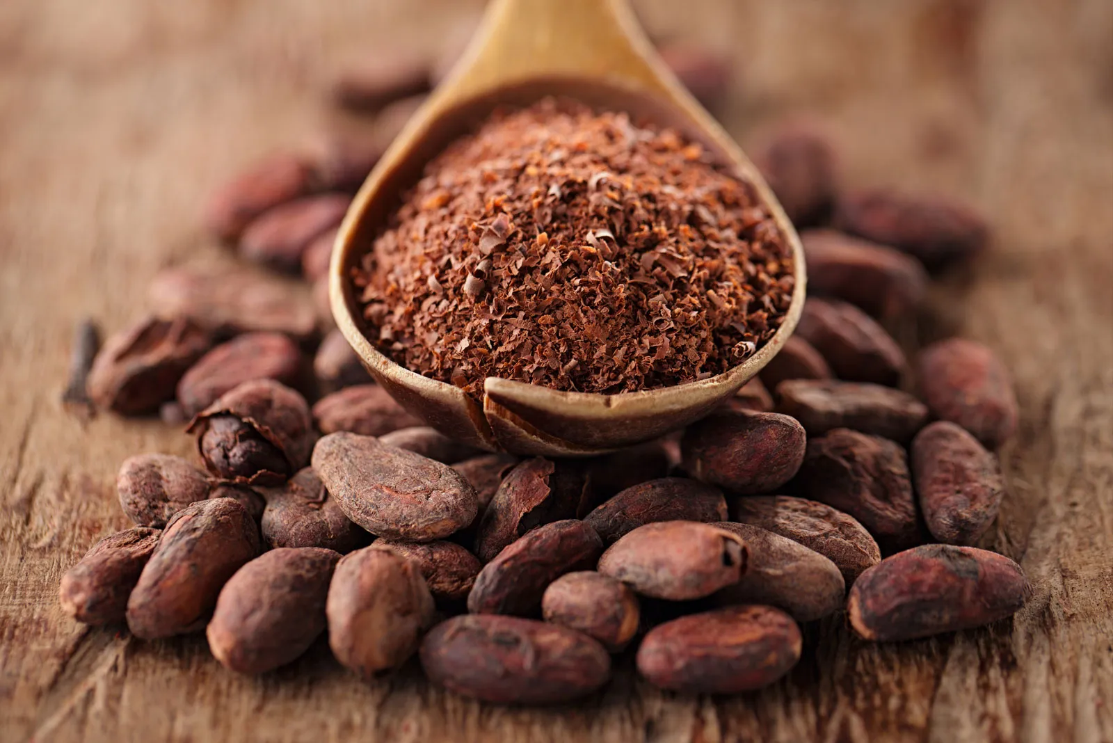 Cocoa Processing Factory